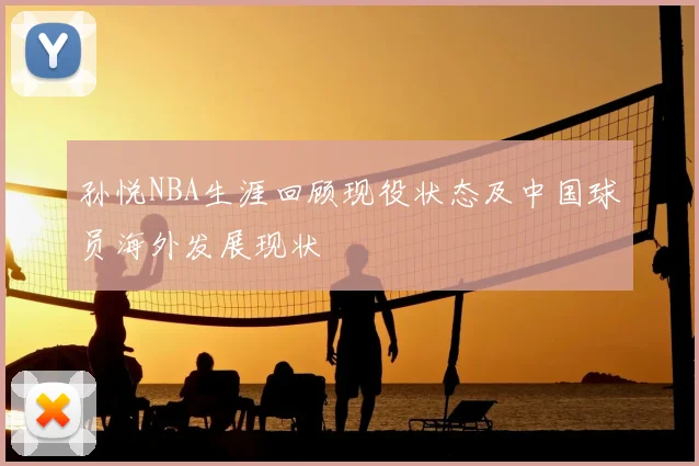 孙悦NBA生涯回顾现役状态及中国球员海外发展现状