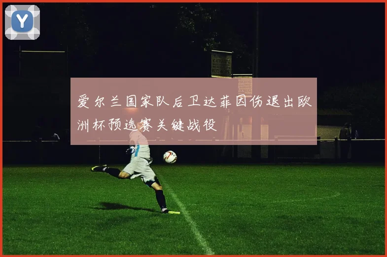 爱尔兰国家队后卫达菲因伤退出欧洲杯预选赛关键战役