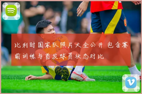 比利时国家队照片大全公开 包含赛前训练与首发球员状态对比