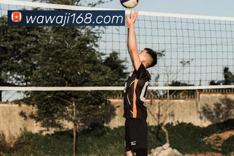 App Interface Preview