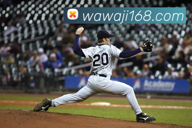 开云网页版登录入口手机版APP 封面图